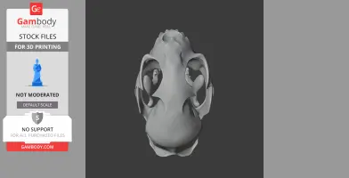 Bobcat Skull - Skull Replica STL