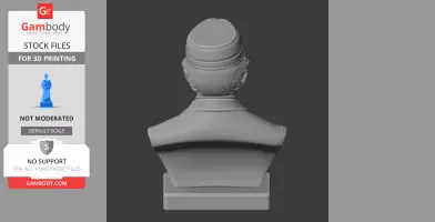 Bust of a historical figure wearing a hat, viewed from the back, for 3D printing.