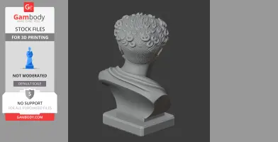 3D printed bust of a historical warrior with curly hair, shown from the back on a pedestal.