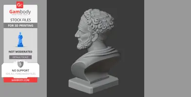 A detailed 3D bust of a historical warrior with curly hair and a beard on a pedestal.