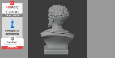 3D model bust of a historical warrior with detailed curls and a draped garment, viewed from the back.
