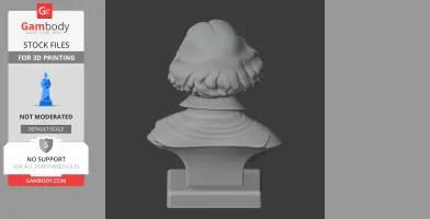 Diego Velazquez Bust - Historical Warrior STL