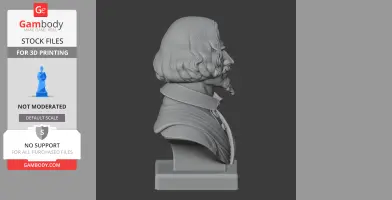Diego Velazquez Bust - Historical Warrior STL