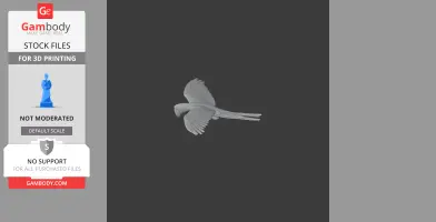 Military Macaw - Prehistoric Animal STL
