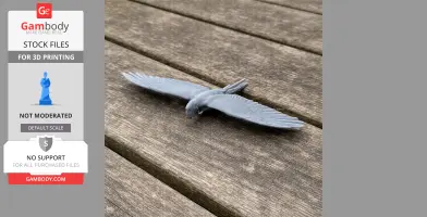 Military Macaw - Prehistoric Animal STL