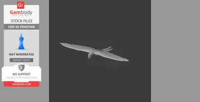 Military Macaw - Prehistoric Animal STL