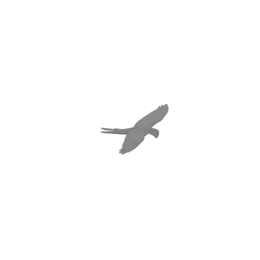 Military Macaw.stl