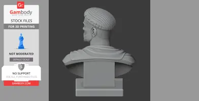 3D model of a historical warrior bust with detailed hair and cloak, shown from the back.