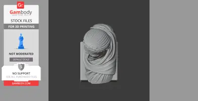 A 3D bust of a historical warrior with braided hair and draped clothing, facing slightly downward.