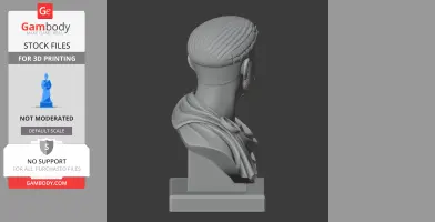 3D bust of a Roman warrior with detailed hair and cloak, viewed from the side on a display pedestal.