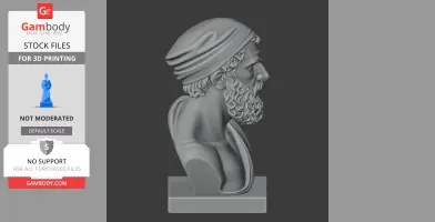 3D model of a bearded man in profile view, wearing a cap, on a rectangular base.
