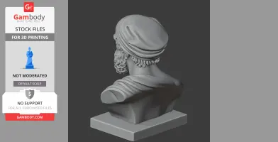 A 3D bust of a historical warrior wearing a headscarf, viewed from the back on a square base.