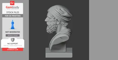 A detailed 3D bust of a historical warrior with a beard and headwear, viewed in profile.