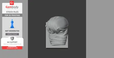 A 3D-printed bust of a historical warrior with draped clothing and detailed beard, viewed from above.