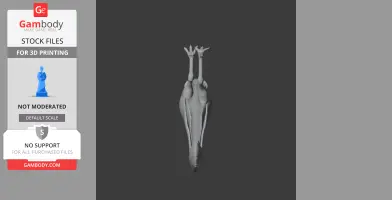 A 3D model of a Mononykus dinosaur lying on its back, showing its elongated legs and streamlined body.