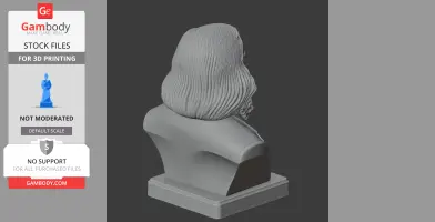 A 3D printed bust of a historical figure with long, textured hair, viewed from the back.