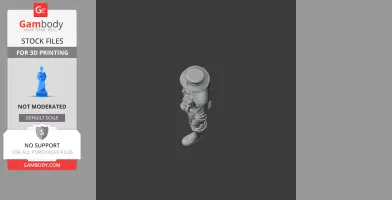 A 3D model of a character with a hat and backpack from Terraria, designed for 3D printing.