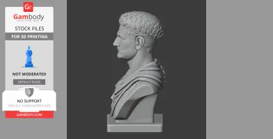3D model of a historical male bust with textured hair and draped clothing, viewed from the side.