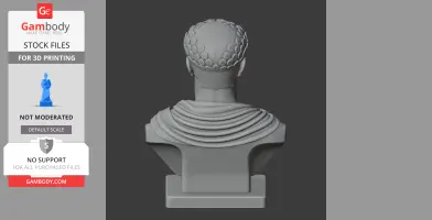 Bust of a historical figure with laurel crown, draped clothing, rear view.