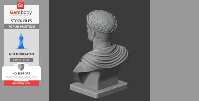 3D printed bust of a historical figure with detailed textures and draped fabric, viewed from the back.