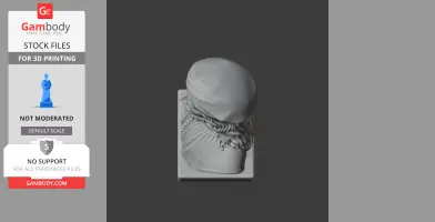 Donatello Bust - Historical Warrior STL