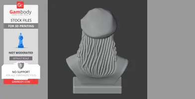 Donatello Bust - Historical Warrior STL