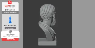 Epictetus Bust - Historical Warrior STL