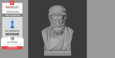 A detailed 3D bust of a bearded man in ancient attire, suitable for 3D printing.