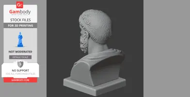 3D printed bust of a historical figure with detailed hair and beard, viewed from the back.
