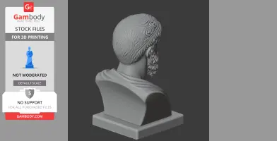 3D model of a bearded bust from the back, showing detailed hair and draped clothing, on a pedestal.