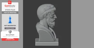 Profile view of a classical bearded bust on a pedestal, with detailed hair and beard textures.