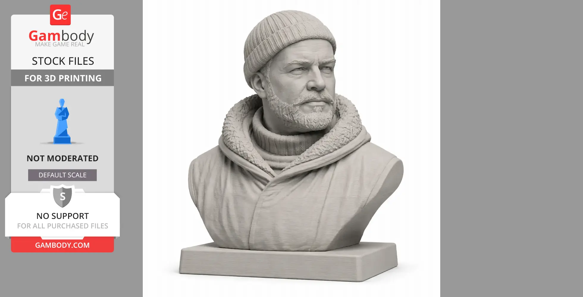 Ernest Shackleton Bust - Historical Warrior STL