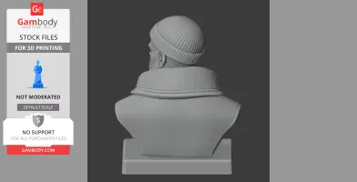 Ernest Shackleton Bust - Historical Warrior STL