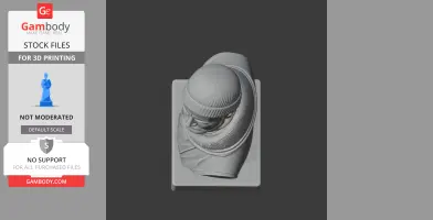 Ernest Shackleton Bust - Historical Warrior STL