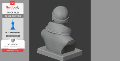 Ernest Shackleton Bust - Historical Warrior STL