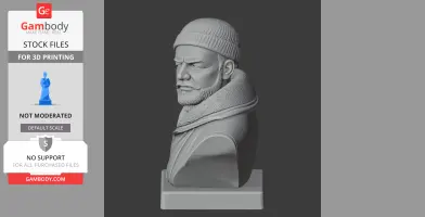 Ernest Shackleton Bust - Historical Warrior STL