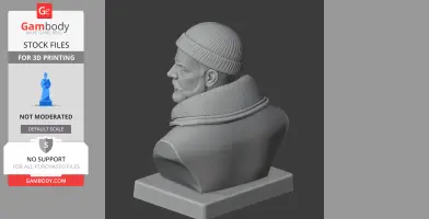 Ernest Shackleton Bust - Historical Warrior STL
