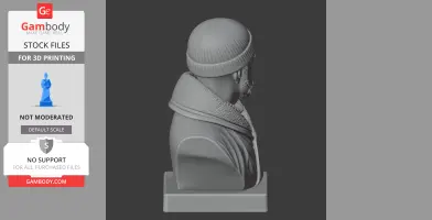 Ernest Shackleton Bust - Historical Warrior STL