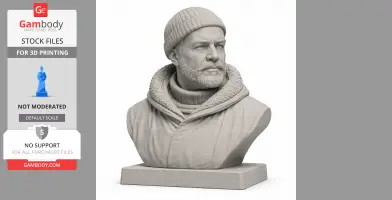 Ernest Shackleton Bust - Historical Warrior STL