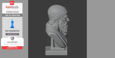 Side view of a 3D-printed bust of a bearded historical warrior wearing a headband.