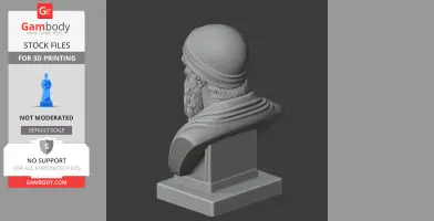 3D bust of a historical warrior with a beard and headwear, viewed from the back, on a display pedestal.