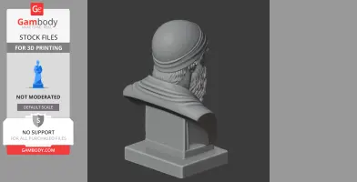 A 3D printed bust of a historical warrior with a helmet and beard, viewed from the back.