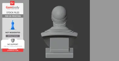 Rear view of a 3D printed historical warrior bust wearing a helmet and draped cloth.