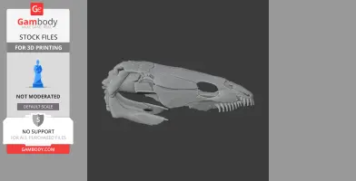 Bowfin (Amia calva) Skull - Skull Replica STL