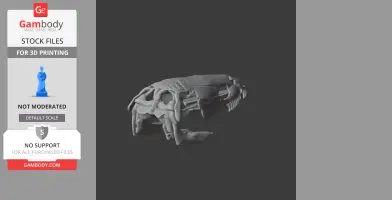 Bowfin (Amia calva) Skull - Skull Replica STL