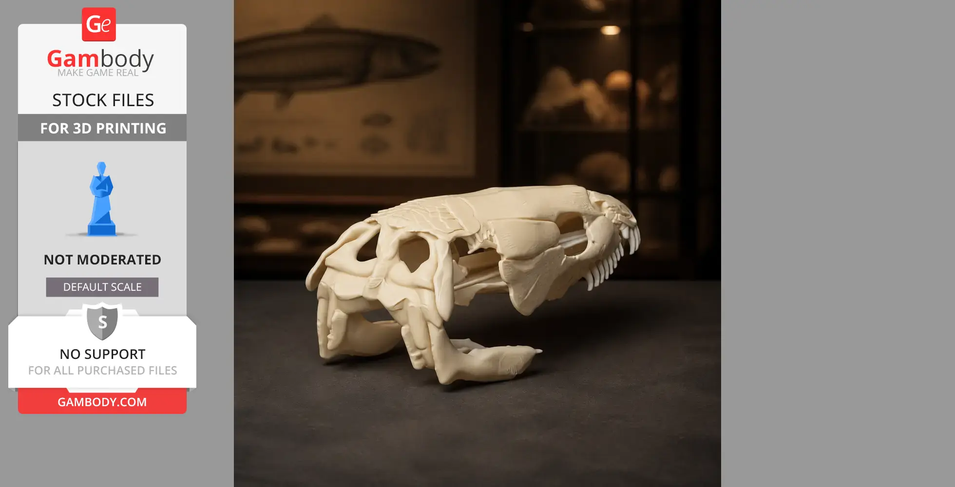Bowfin (Amia calva) Skull - Skull Replica STL