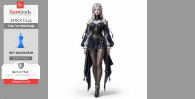 Arcana - Lost Ark Figurine - Character Figure STL