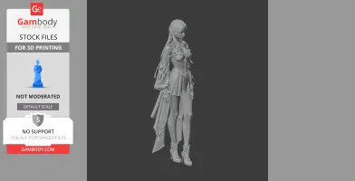 Arcana - Lost Ark Figurine - Character Figure STL