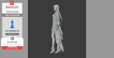 Arcana - Lost Ark Figurine - Character Figure STL