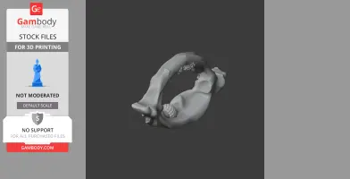 3D model of a Bowmouth Guitarfish skull, featuring detailed bone structures for printing.